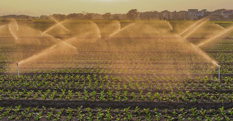 節(jié)水灌溉促增收