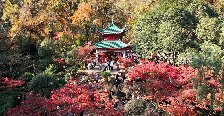 岳麓楓紅醉游人